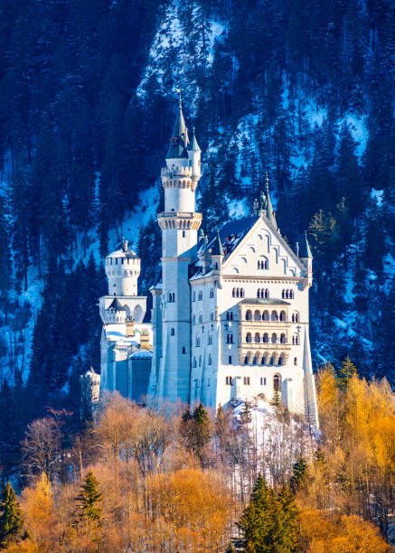 vista bonita do castelo mundialmente famoso de neuschwanstein, sudoeste bavaria, alemanha - king ludwig - fotografias e filmes do acervo