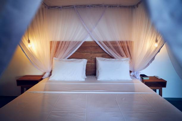 istock Luxury accommodation in tropical destination 1198071369