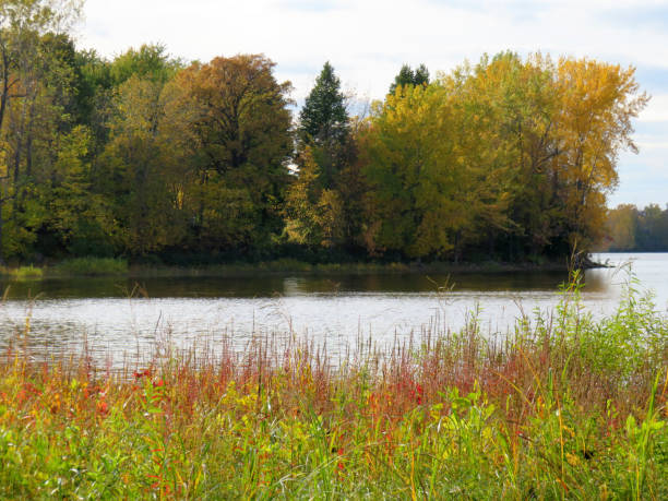 istock autumn landscape with lake and trees 1198072723