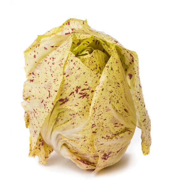 Variegated Radicchio of Castelfranco variegated Chicory isolated on white chicory stock pictures, royalty-free photos & images