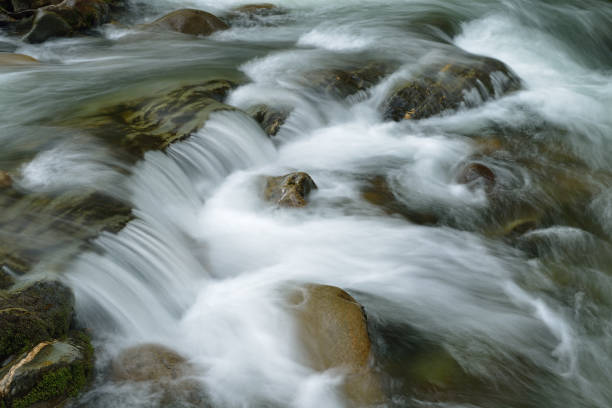 Spring landscape of a cascade and rapids on the Little Pigeon River, Great Smoky Mountains National Park, Tennessee, USA