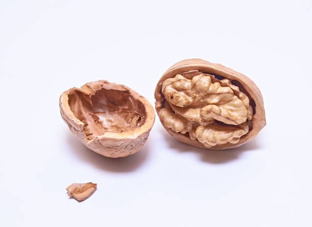 istock Walnut on an isolated white background. Close up. Macro. 1198078460