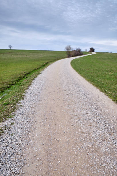 Springtime landscape in the countryside with bare trees and a long and winding gravel road leading to the horizon