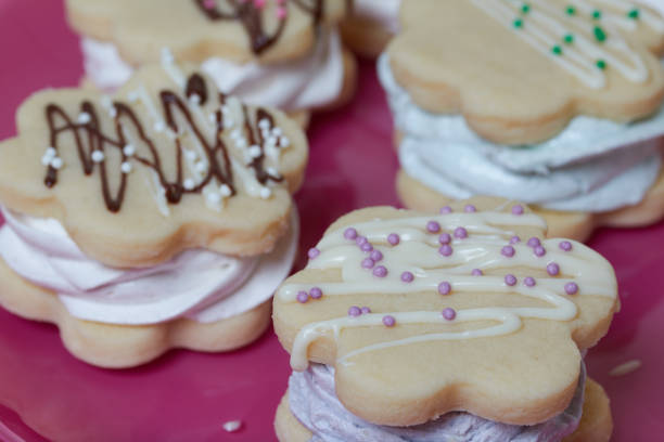 istock Marshmallow sandwiches from biscuit cookies and marshmallows. Decorated with white and black chocolate. With decorative sprinkles of different colors 1198078631