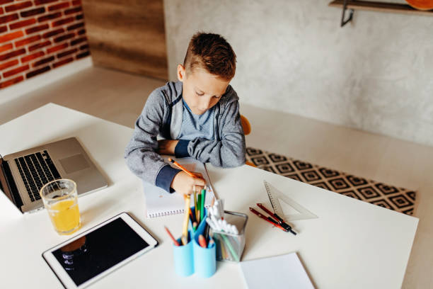 istock Young boy at home writing in school text book at the dining table 1198080650