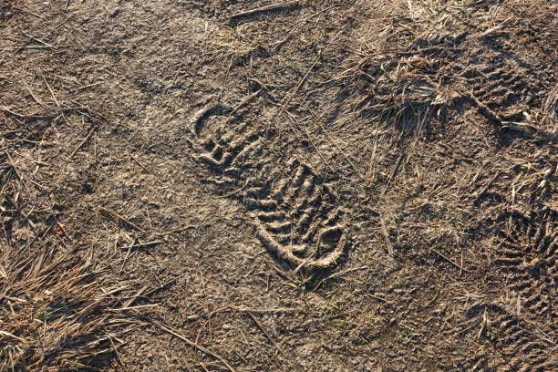 a human shoe footprint in the mud
