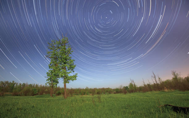 istock Star tracks, green oak tree 1198081358