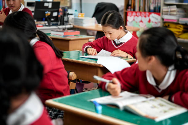 istock Female student studying with friends in classroom 1198081525