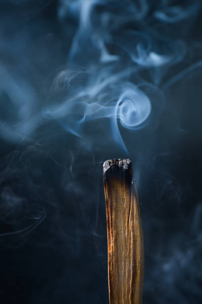 istock Palo Santo, holy tree stick burning 1198085584