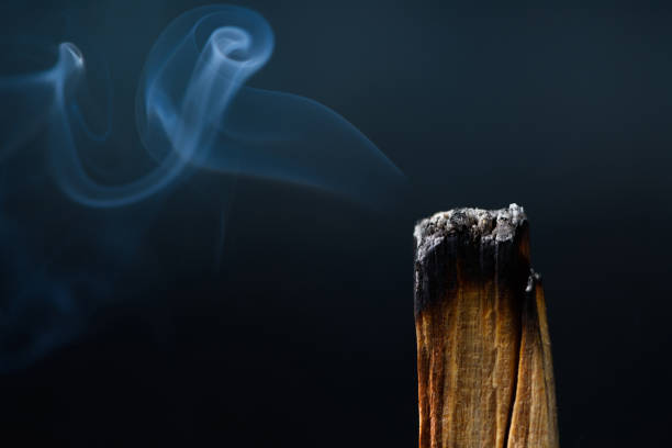 istock Palo Santo, holy sacred tree stick 1198085689