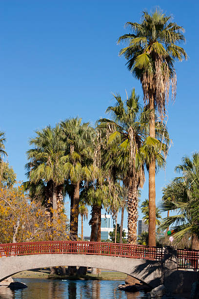 istock Bridge in Encanto park, Phoenix, AZ 119808623