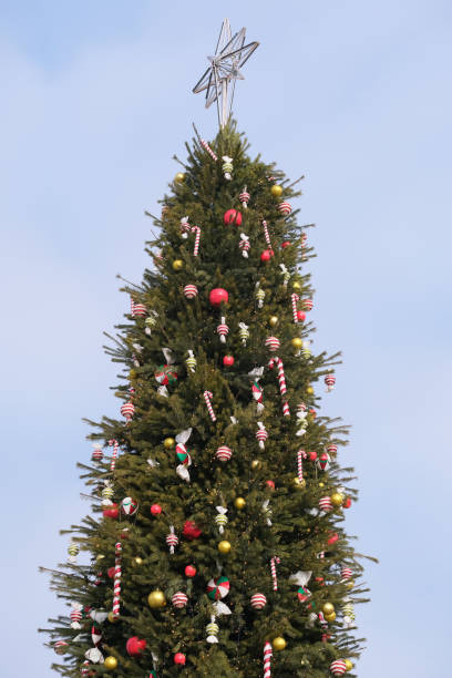 istock Close-up of a Christmas decorated tree 1198086794