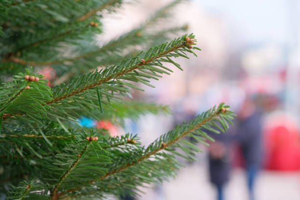 istock Close-up of a Christmas decorated tree 1198086828