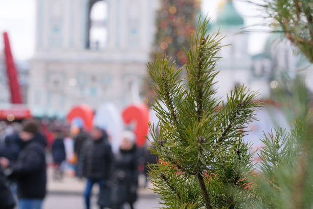 istock Close-up of a Christmas decorated tree 1198087068