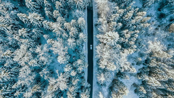 istock Winter road from above! 1198088437