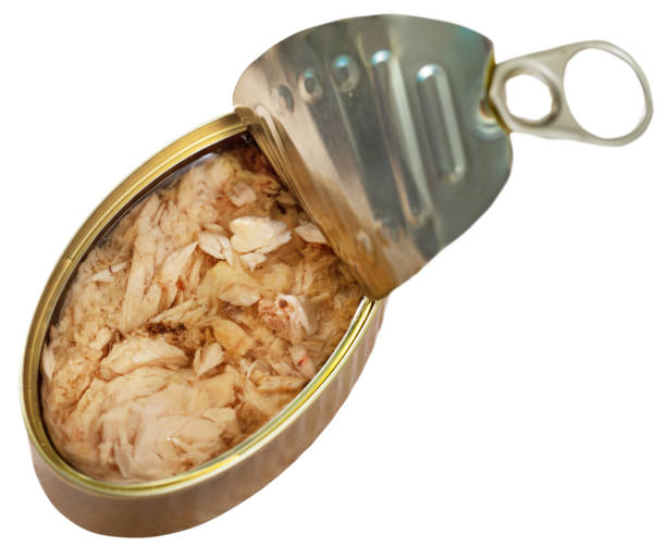 istock Bonito fillets with oil in tin can 1198088513