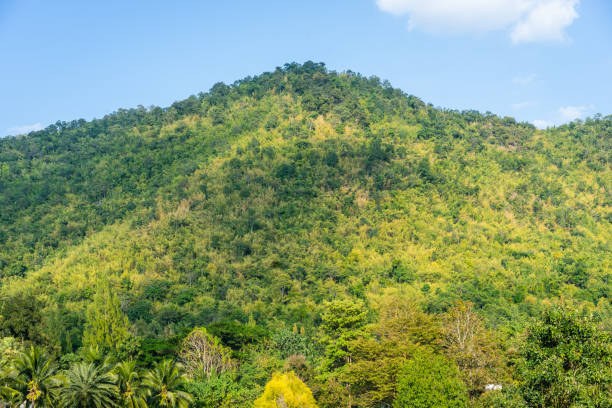 istock Green Trees and Mountains with blue sky Images. 1198089758