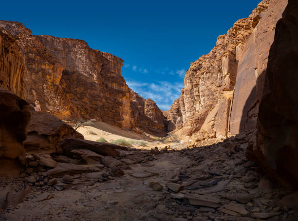 istock Outcrop geological formations, Al Ula in Saudi Arabia 1198091507
