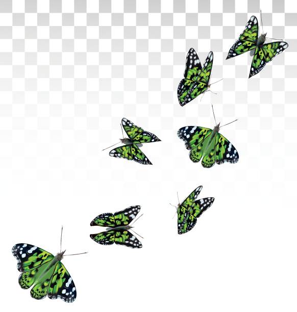 istock Flying green butterflies isolated on transparent background. 3D realistic beautiful colorful butterflies. Biology. Vector illustration 1198093882