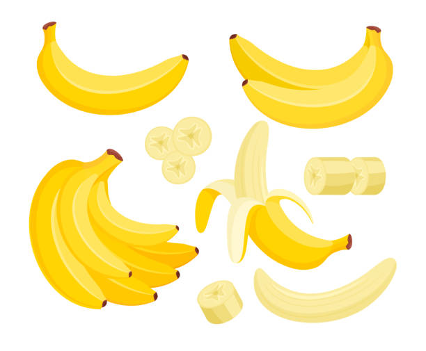 ilustraciones, imágenes clip art, dibujos animados e iconos de stock de conjunto de ilustraciones vectoriales planas coloridas de plátano amarillo - plátano fruta tropical