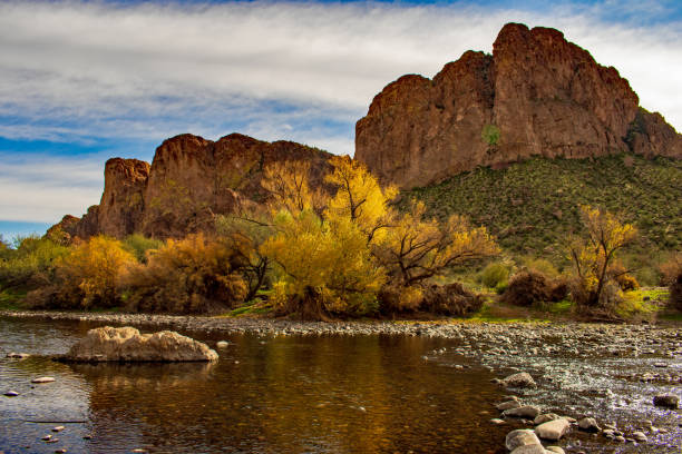 istock Quiet morning on the Salt River 1198097842