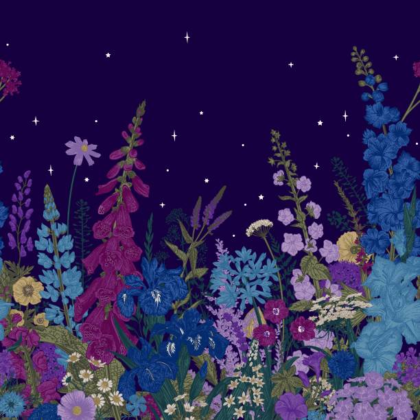 illustrations, cliparts, dessins animés et icônes de magnifique jardin. frontière. nuit d'été. - gladiolus flower iris design