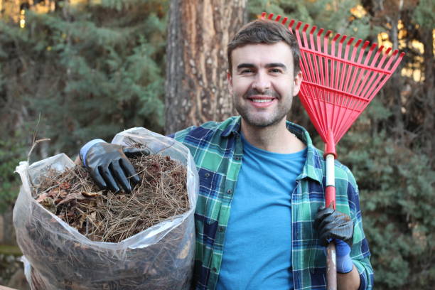 istock Gardener cleaning with a manual rake 1198101992