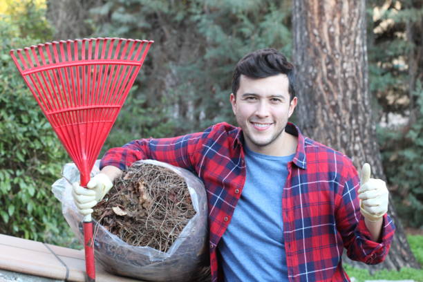 istock Gardener cleaning with a manual rake 1198102660