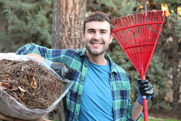 istock Gardener cleaning with a manual rake 1198102755