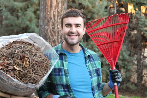istock Gardener cleaning with a manual rake 1198102764