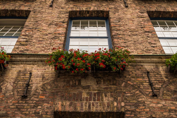 istock Old European window with flowers 1198103012