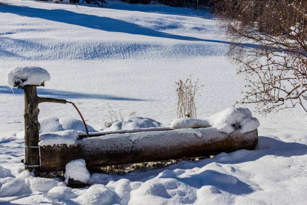 istock a fountain in the snow 1198103266