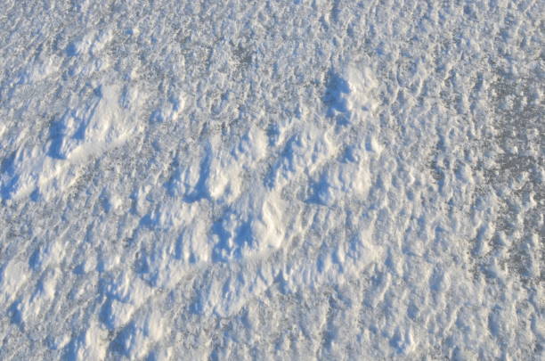 istock Close up of white snow background. 1198103270