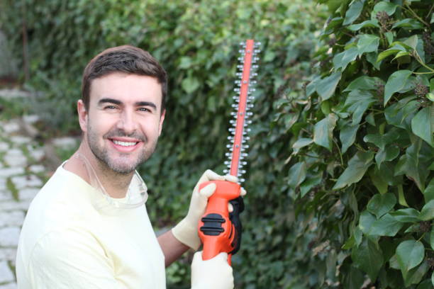 homem usando serra elétrica para podar - electric trimmer - fotografias e filmes do acervo