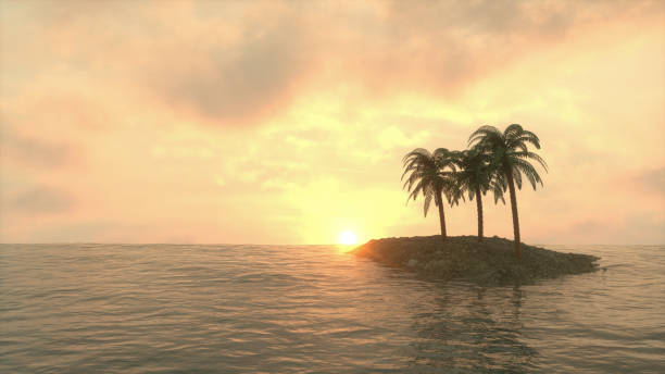 istock Summer with Palm Trees on the Sea 1198104309