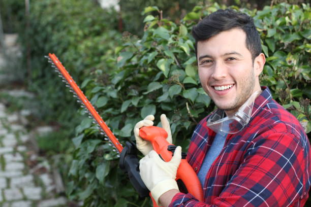 giardiniere etnico maschio sorridente al lavoro - sweet potato foto e immagini stock