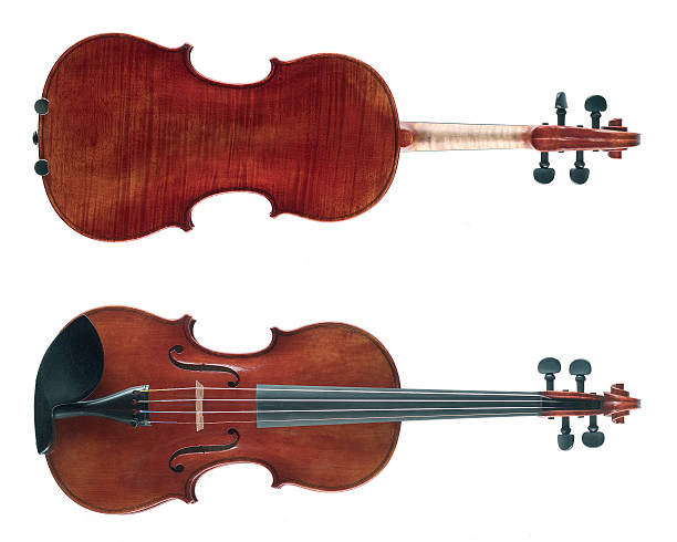 violins stock photo