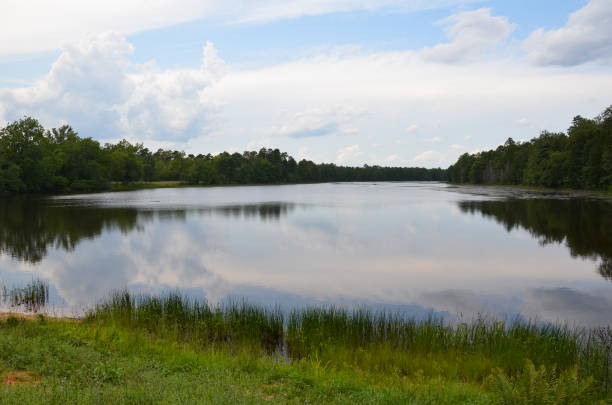 istock green grasses and trees and calm lake water with reflection 1198105220