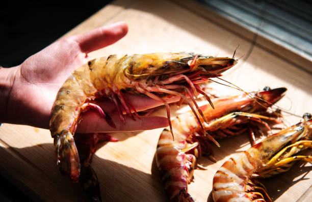 istock Woman holding a large prawn 1198108939
