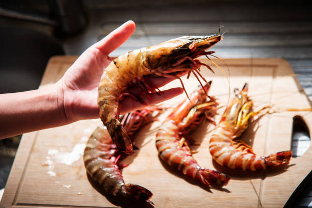 istock Woman holding a large prawn 1198109025