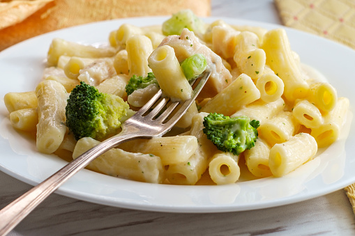 Italian rigatoni chicken alfredo pasta dish with broccoli