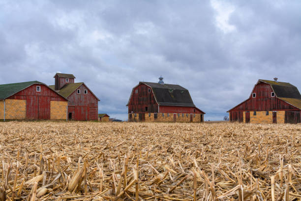 istock Farm in the Midwest 1198112280