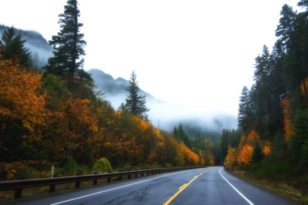 istock Colorful autumn drive through a forest 1198112498