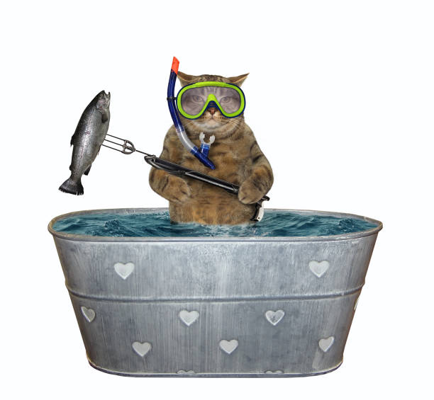istock Cat caught fish in washtub 1198115870