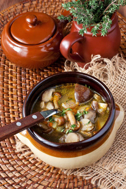 istock Tasty mushroom soup in ceramic  bowl 1198117145