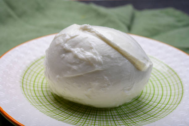 istock Cheese collection, soft white Italian mozzarella di bufala campana 1198117460