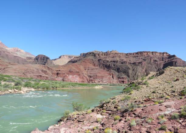 istock Grand Canyon National Park 1198118119