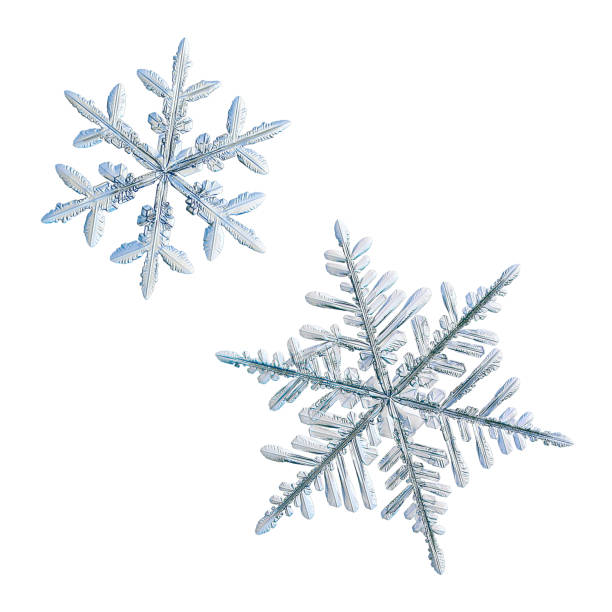 istock Two snowflakes isolated on white background 1198118815
