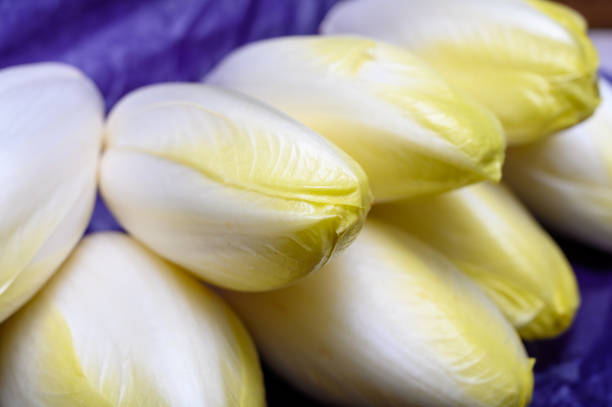 Whole and half fresh raw Belgian endive close up on a cutting board