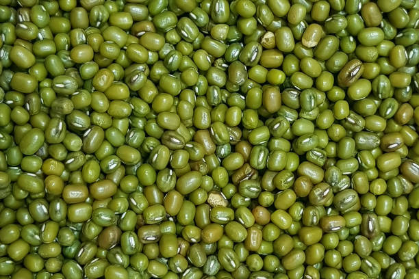 istock Green beans or fresh green pea in spices texture background 1198123911